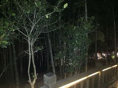 -江南天池高山汤泉城