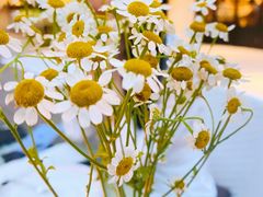 -T館·花园艺术餐厅