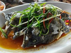 -众味海鲜大排档·活海鲜·潮汕味(南澳店)