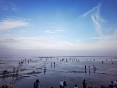 -南汇嘴观海公园