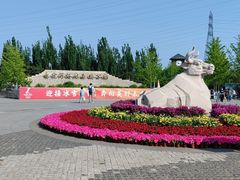 -永定河休闲森林公园