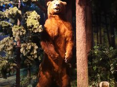 -陕西自然博物馆