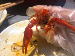 -红辣椒·川菜·火锅(张杨路店)