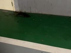 -巢爷老味(东方红店)