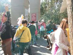 -九龙江国家森林公园