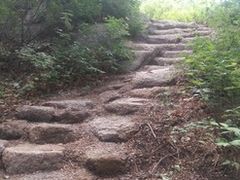 -六里坪国家森林公园