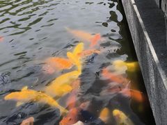 -上海大学(宝山校区)