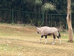 -杭州野生动物世界