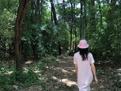 -秦岭风景区