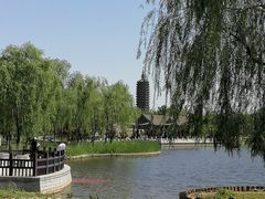 -西海子公园