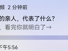 -约翰·菲茨杰拉德·肯尼迪国际机场