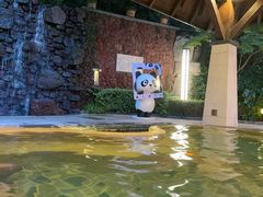 -天目湖涵田度假村