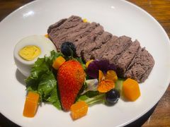 -百好乐宠物友好餐厅(朝外大街店)