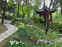 -秦岭终南山世界地质公园翠华山景区