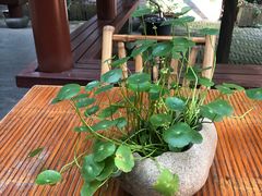 -西湖外事游船(花港观鱼码头)