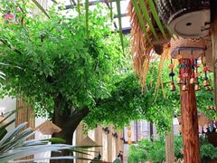 -大理董·董家小厨野生菌火锅(古城旗舰店)