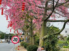 -大旗头古村