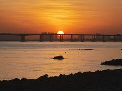 -大湾区中央湿地公园
