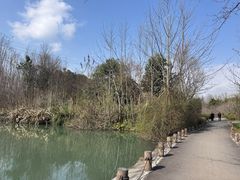 -桤木河湿地公园