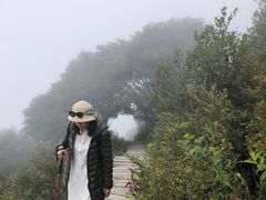 -白草畔自然风景区