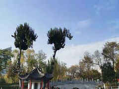 -莲湖公园