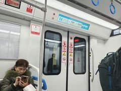 -大龙山(地铁站)