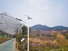 -浙江农林大学(东湖校区)