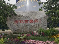 -御林古桑园