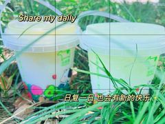 -迷客夏Milksha(无锡苏宁店)