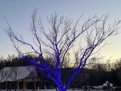 -春晖园度假酒店温泉