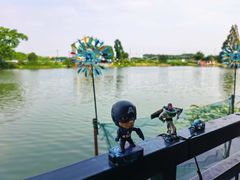 -水岸居湖景农家乐·阳澄湖大闸蟹