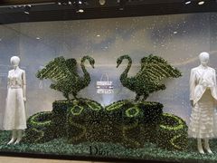 -Dior迪奥(国贸商城店)