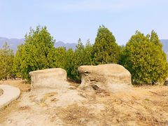-白水寺森林公园