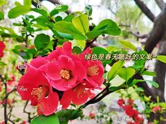 -碑林公园