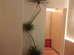 -青曼SPA·按摩·采耳·足道(龙之梦店)