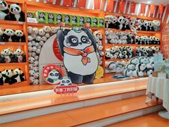 -熊猫邮局(少城店)