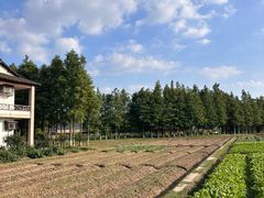-乌村