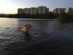 永定河休闲森林公园-永定河休闲森林公园