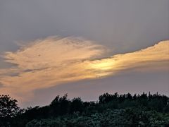 -丁香湖公园