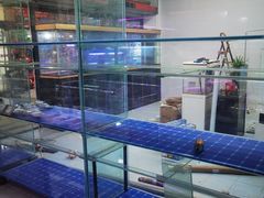 -双季花艺园艺市场(浦东店)