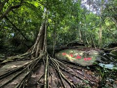 -七仙岭温泉国家森林公园