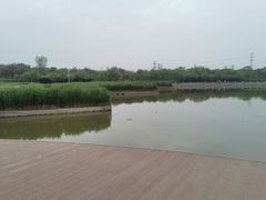 -天津东丽湖风景区