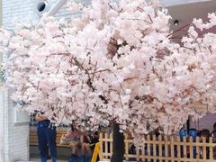 -Mr·Kuma酷么先生雪之乐园