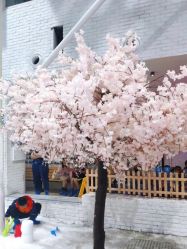 -Mr·Kuma酷么先生雪之乐园