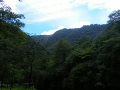 -白云源风景区