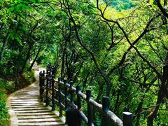 -神农山景区