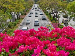 -云溪植物园