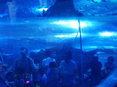 -多彩贵州城极地海洋世界