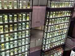 -广东中医药博物馆