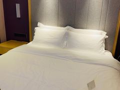 -麗枫酒店(深圳坪山高铁站龙东地铁站店)